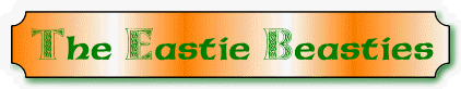 London Irish Rugby Supporters - The Eastie Beasties